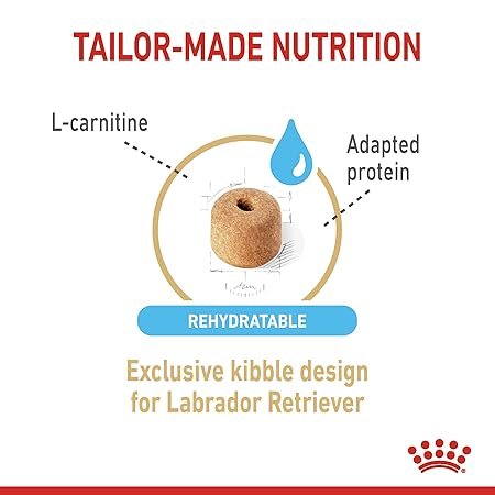 Royal Canin Labrador Retriever Adult Dry Dog Food