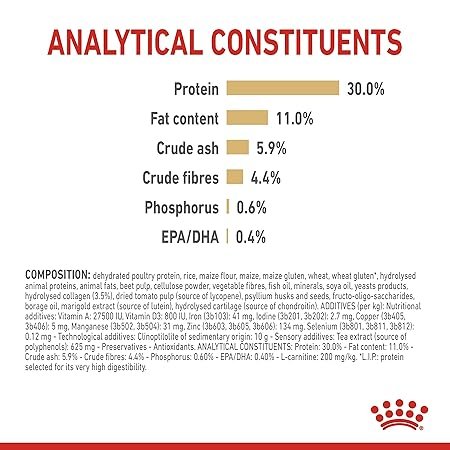 Royal Canin Labrador Retriever Adult Dry Dog Food