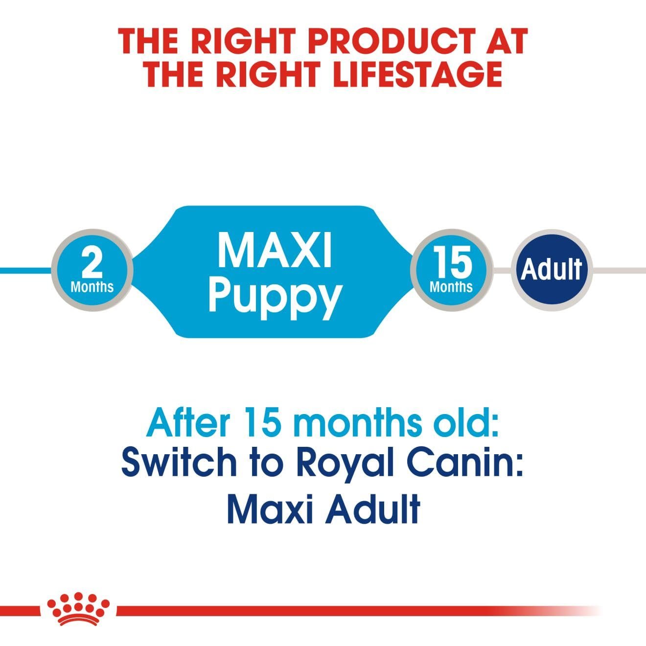 Royal Canin Maxi Puppy Gravy / Wet Food - 140 GM 