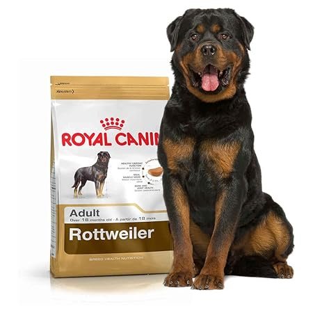 Royal Canin Rottweiler Adult Dog Food