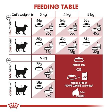 ROYAL CANIN FIT 32 ADULT CAT FOOD