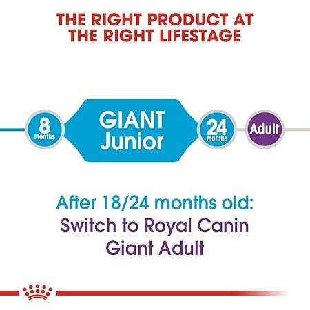 ROYAL CANIN GIANT JUNIOR