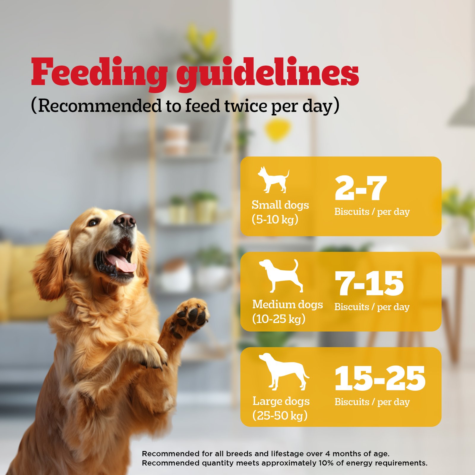 Ped Biscrok with Chicken biscuits 900gx15