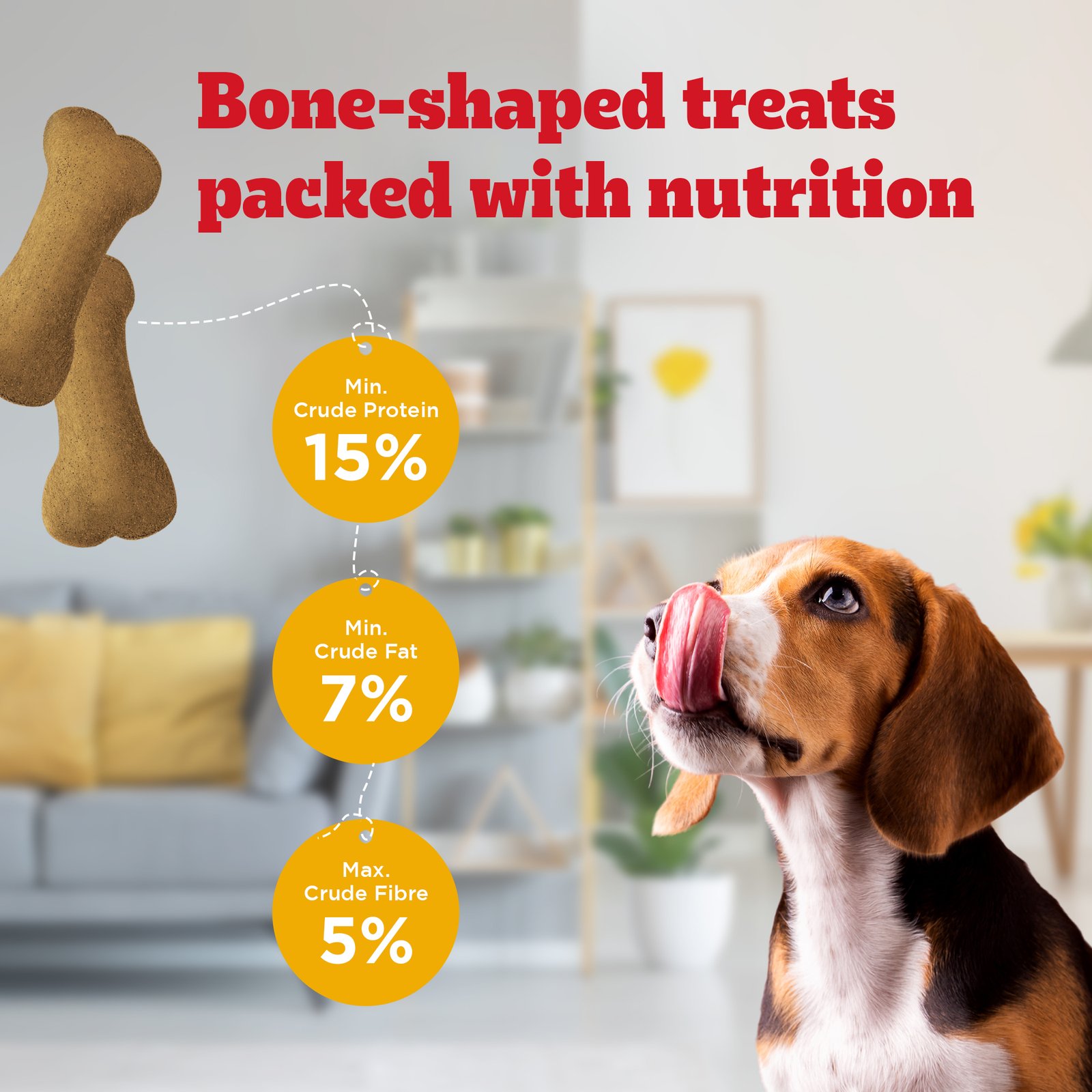 Ped Biscrok with Chicken biscuits 900gx15