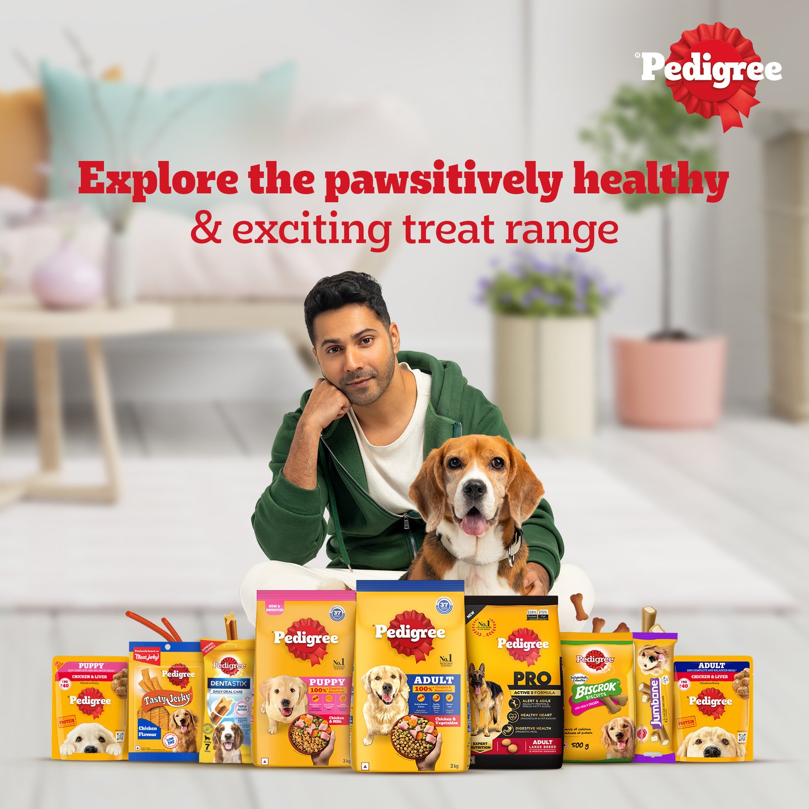 Ped Biscrok with Chicken biscuits 900gx15