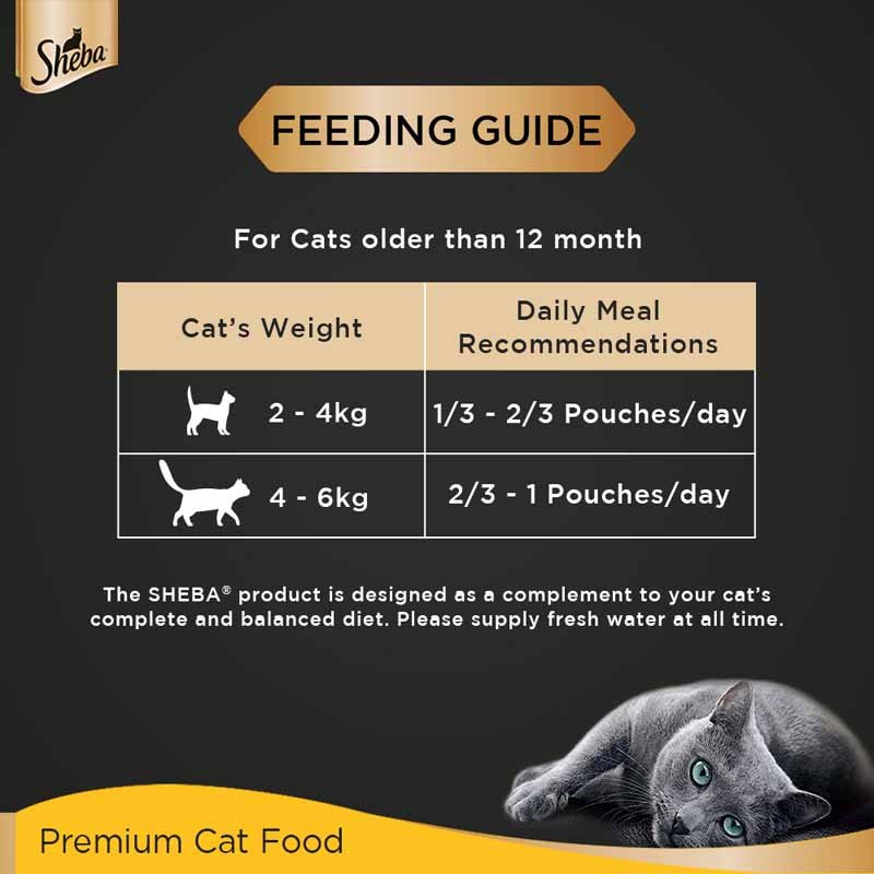 Sheba Fine Premium Adult (1+ Years) Wet Cat Food, Tuna Pumpkin & Carrot in Gravy
