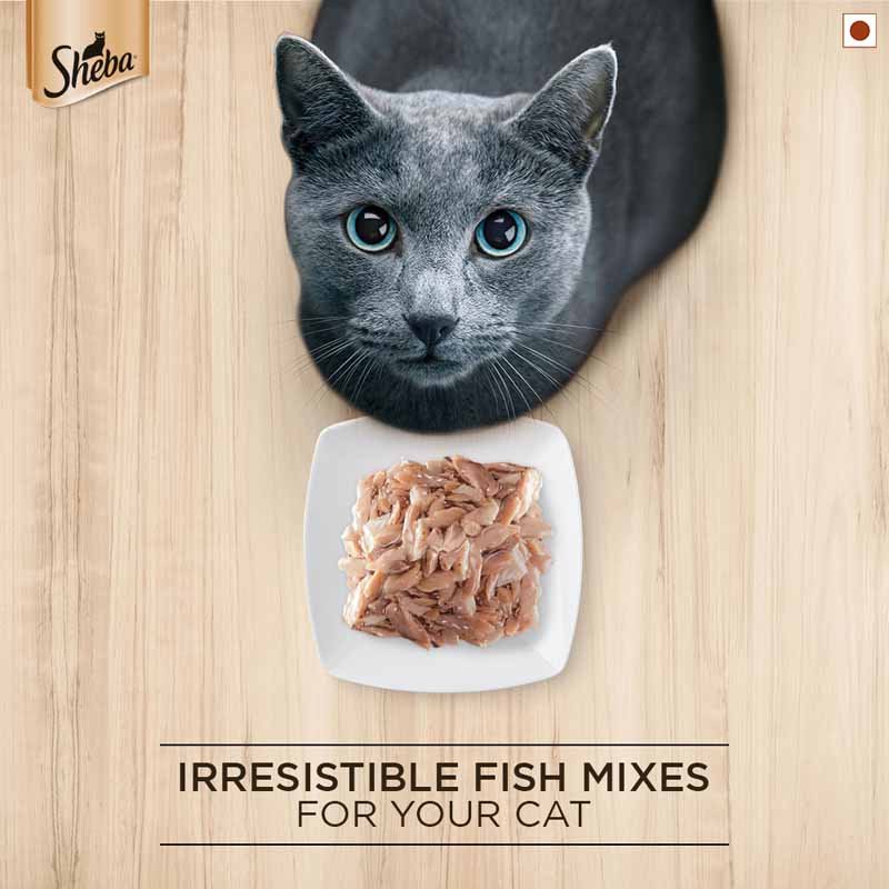 Sheba Rich Premium Adult (1+ Years) Wet Cat Food, Fish with Dry Bonito Flavour