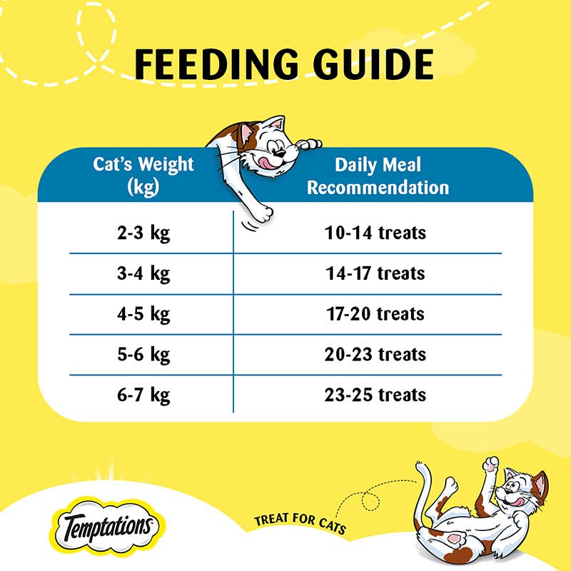 Temptations Cat Treat, Savoury Salmon Flavour - 85 g