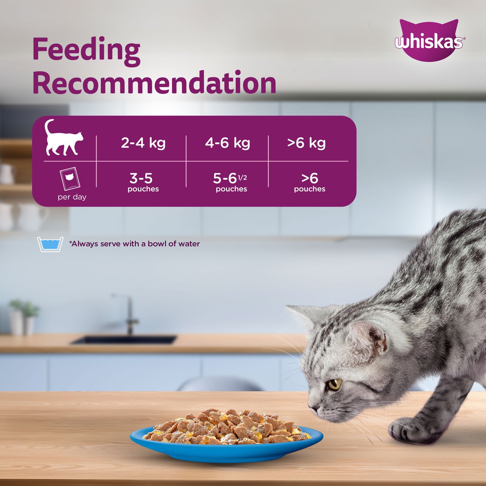 Whiskas Wet Cat Food for Kittens (2-12 Months), Tuna in Jelly Flavour,  80g