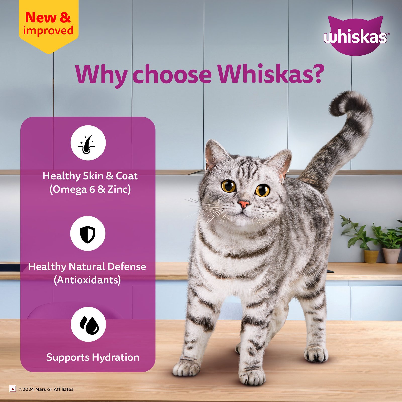 Whiskas Wet Cat Food for Adult Cats (1+Years), Salmon in Gravy Flavour,  80g