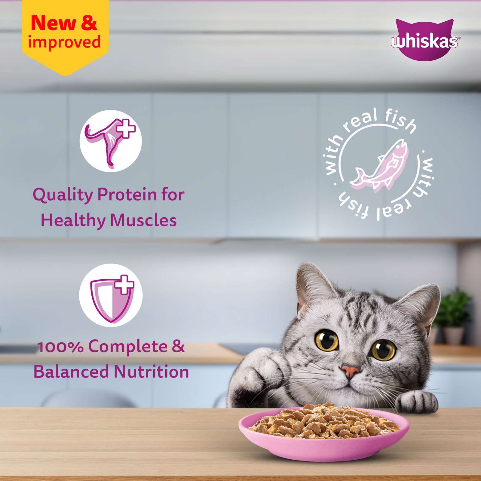 Whiskas Wet Cat Food for Adult Cats (1+Years), Salmon in Gravy Flavour,  80g