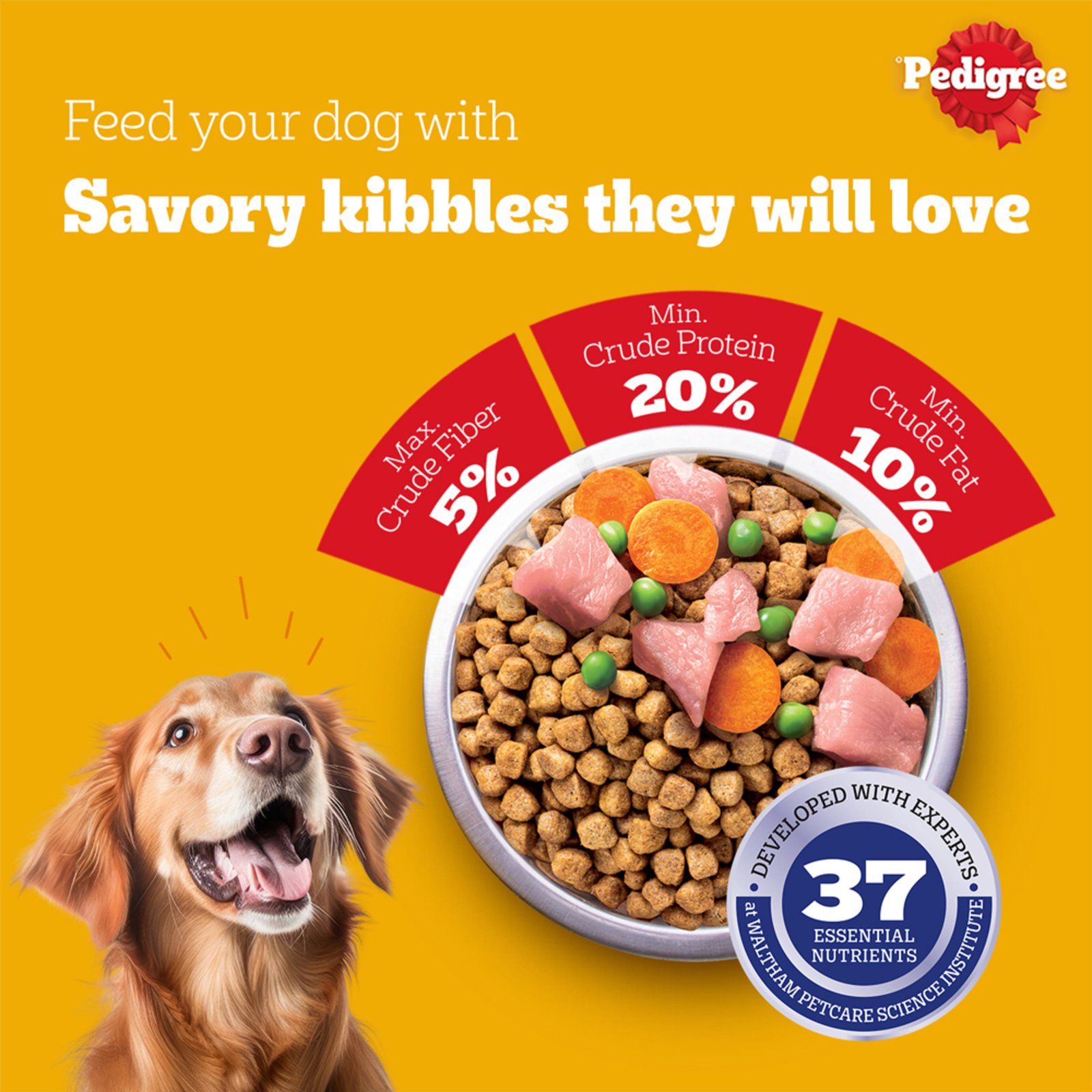 Pedigree Adult Dry Dog Food, Chicken & Vegetables, 1 kg