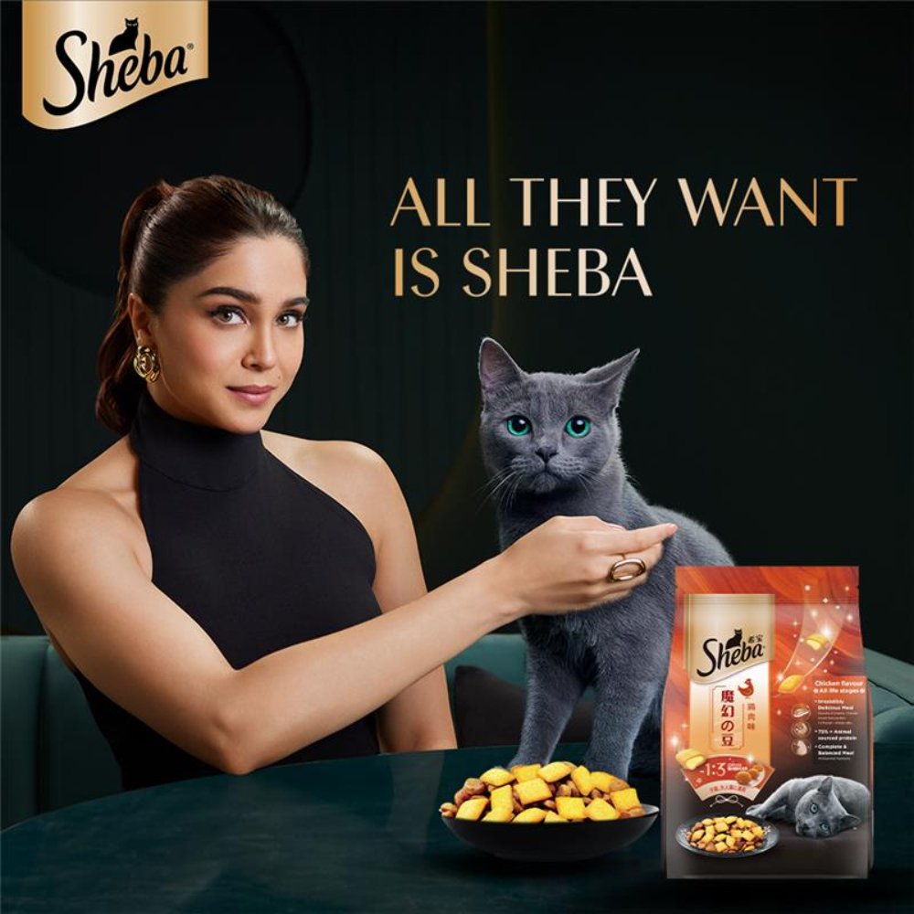 Sheba Kitten and Adult, Irresistible Dry Cat Food, Chicken Flavour, 1.5kg Pack