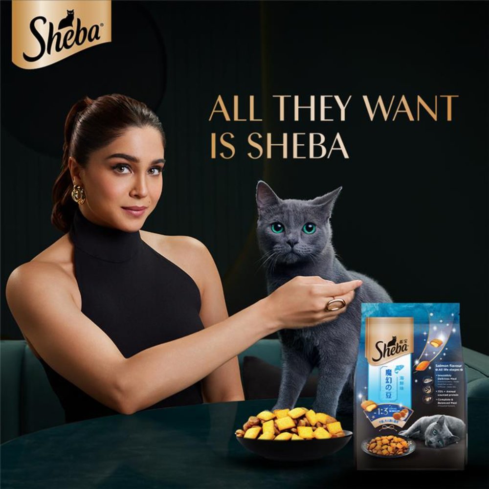 Sheba Kitten and Adult, Irresistible Dry Cat Food, Salmon Flavour, 1.5kg
