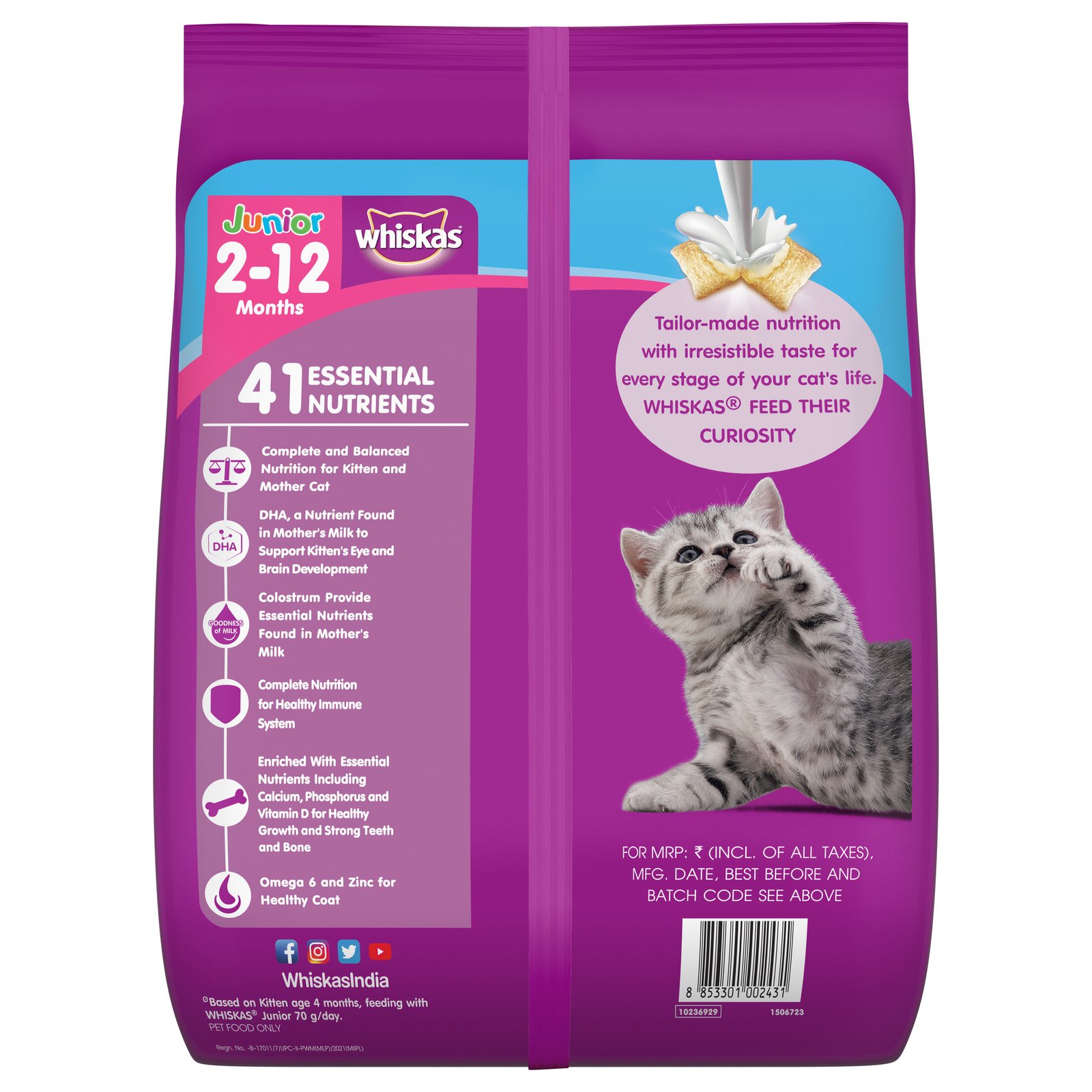Whiskas Kitten (2-12 months) Dry Cat Food, Ocean Fish Flavour with Milk