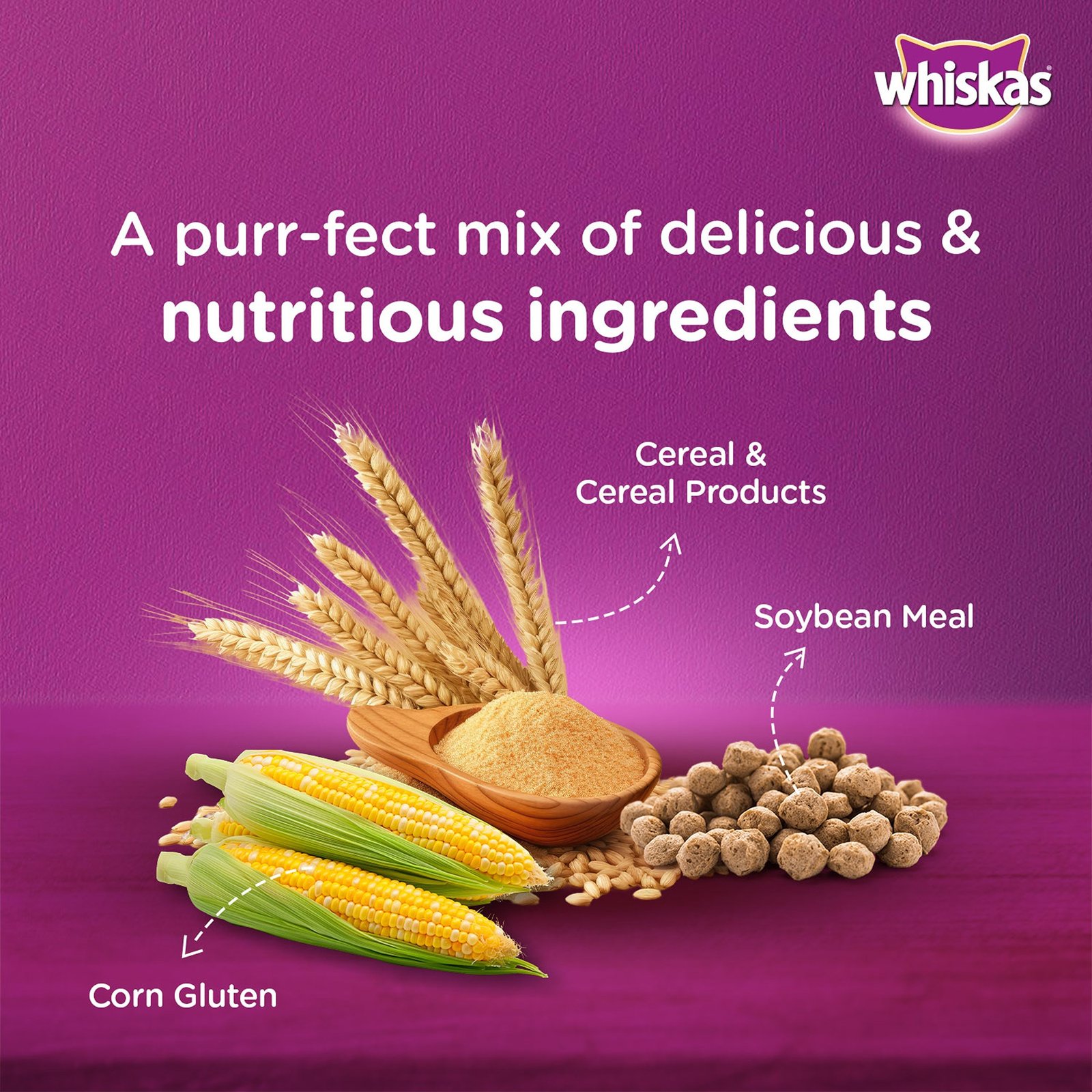 Whiskas Kitten (2-12 months) Dry Cat Food, Ocean Fish Flavour with Milk