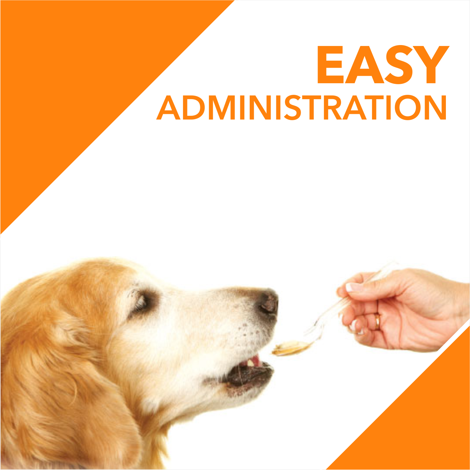 Drools Absolute Salmon Oil Syrup - Dog Supplement