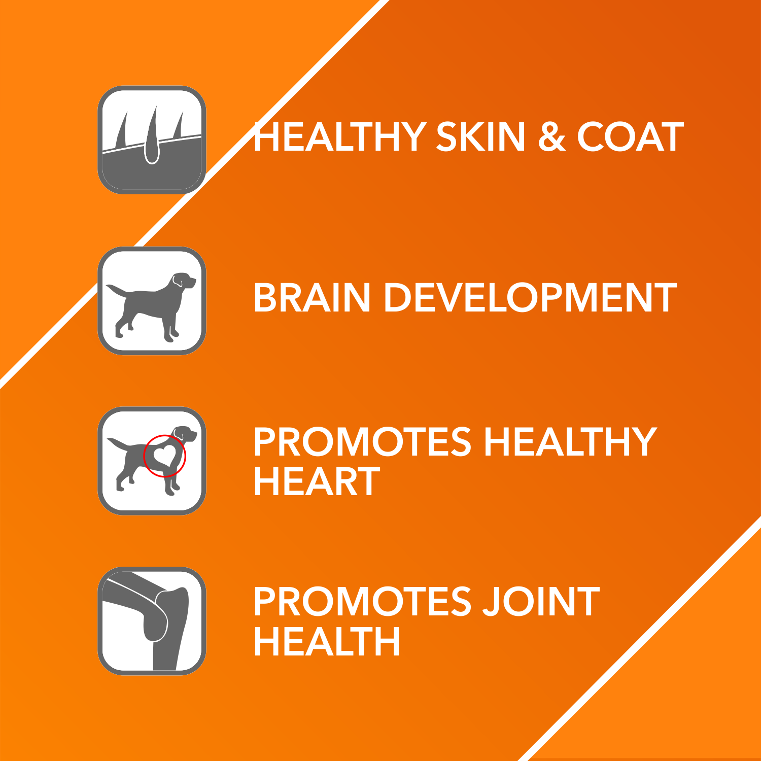 Drools Absolute Salmon Oil Syrup- Dog Supplement