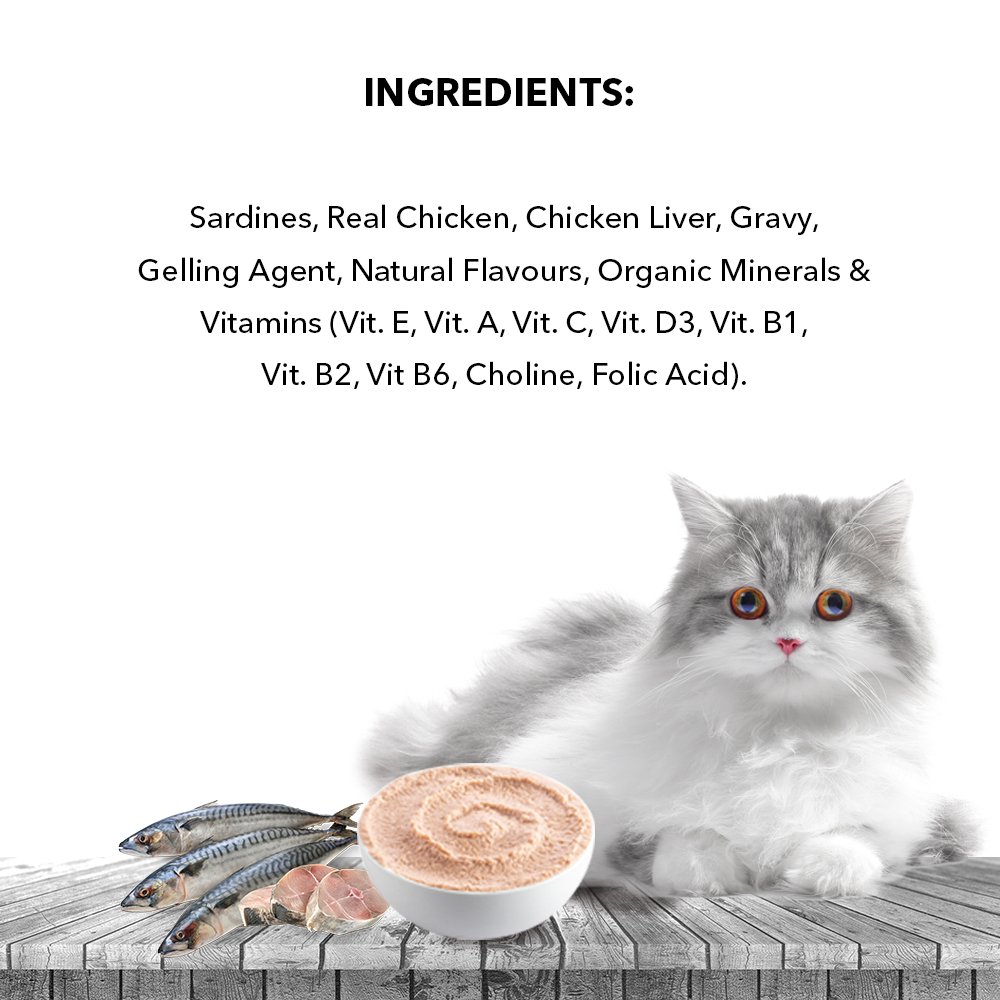 Active Adult Cat Wet Food, Real Ocean Fish in Gravy, 8 Pouches, 50g x 8 (Buy 1 Get 1 Free )