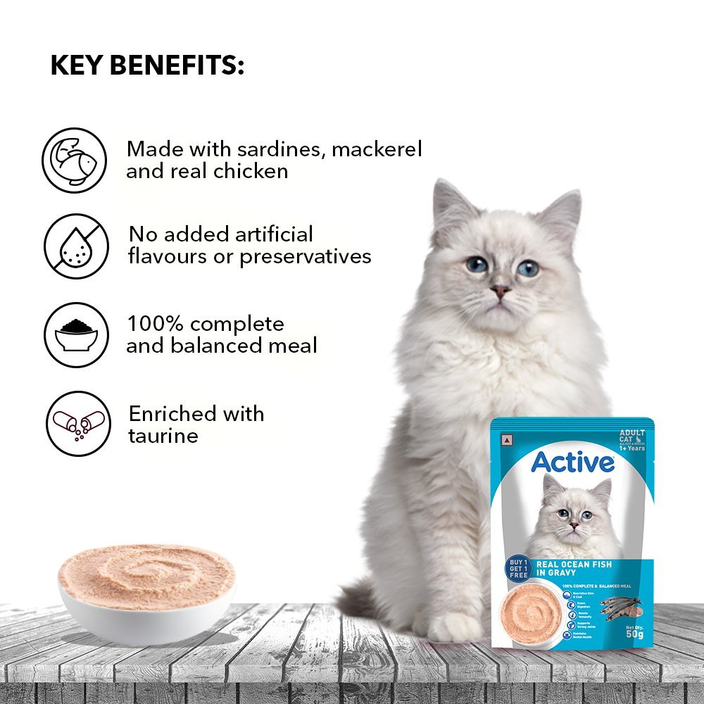 Active Adult Cat Wet Food, Real Ocean Fish in Gravy, 8 Pouches, 50g x 8 (Buy 1 Get 1 Free )