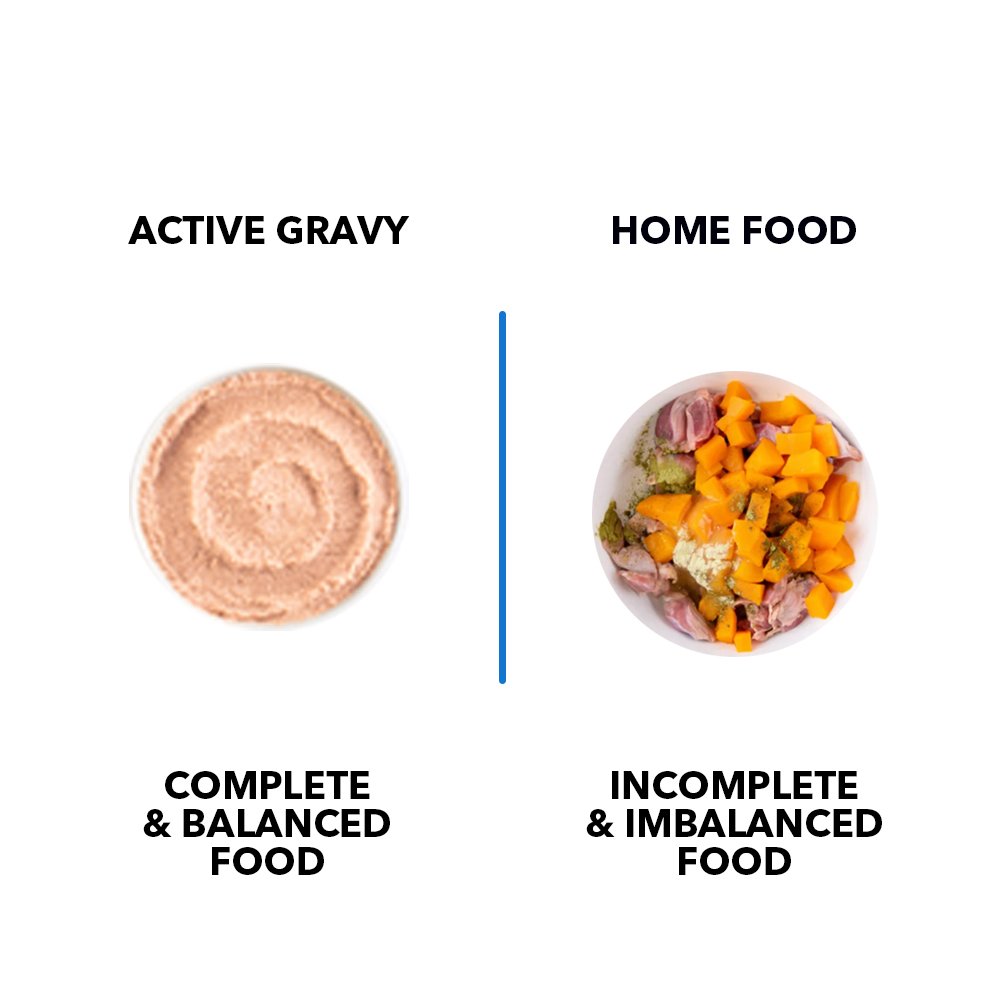 Active Adult Cat Wet Food, Real Salmon Fish in Gravy, 8 Pouches, 50g x 8 (Buy 1 Get 1 Free )