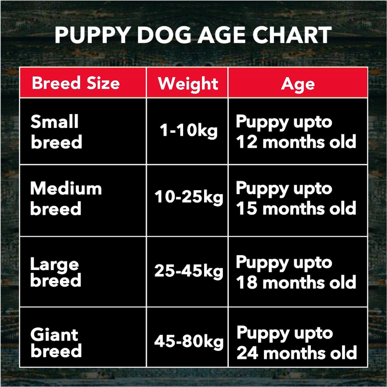 Active Puppy Chicken and Vegetables Dry Dog Food (Buy 1 Get 1 Free)