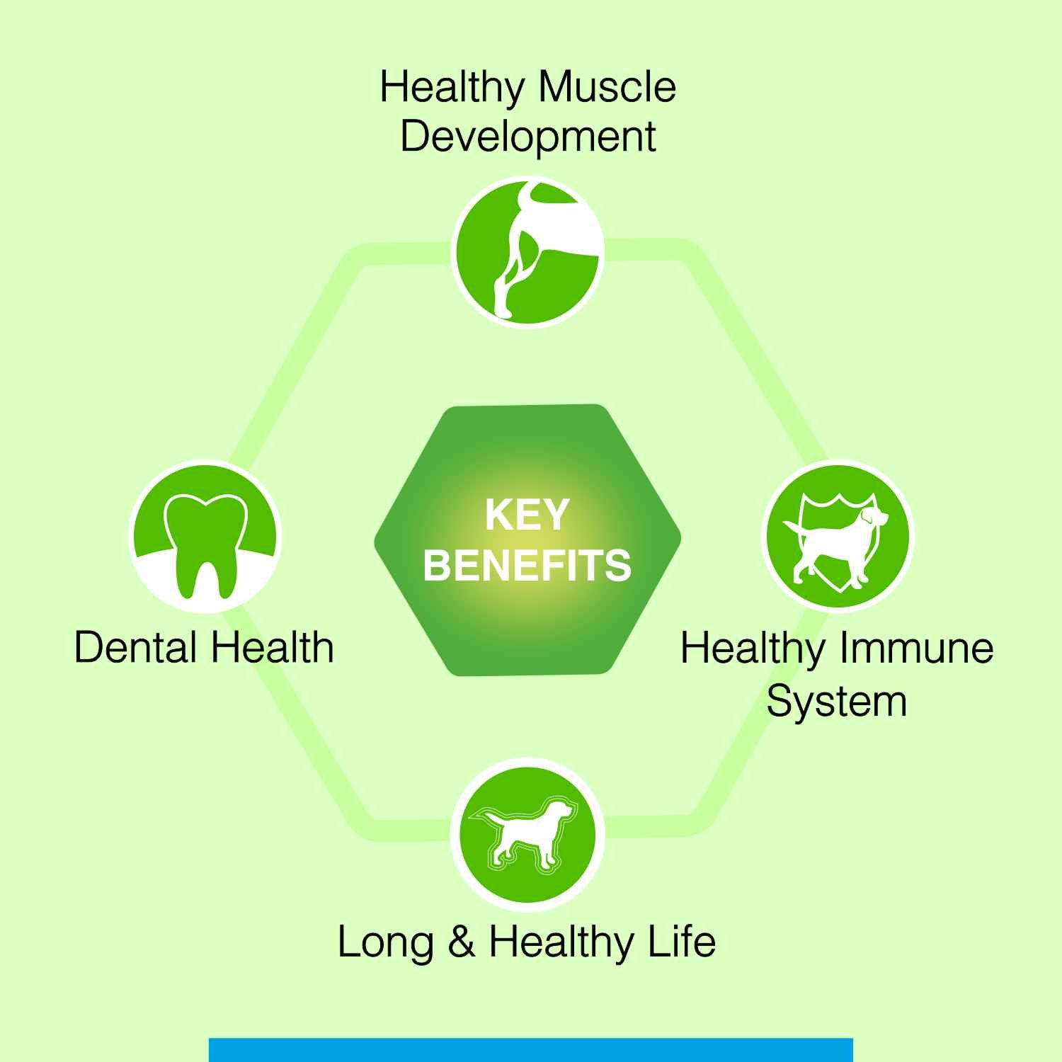 Canine Creek Adult Dry Dog Food, Ultra Premium