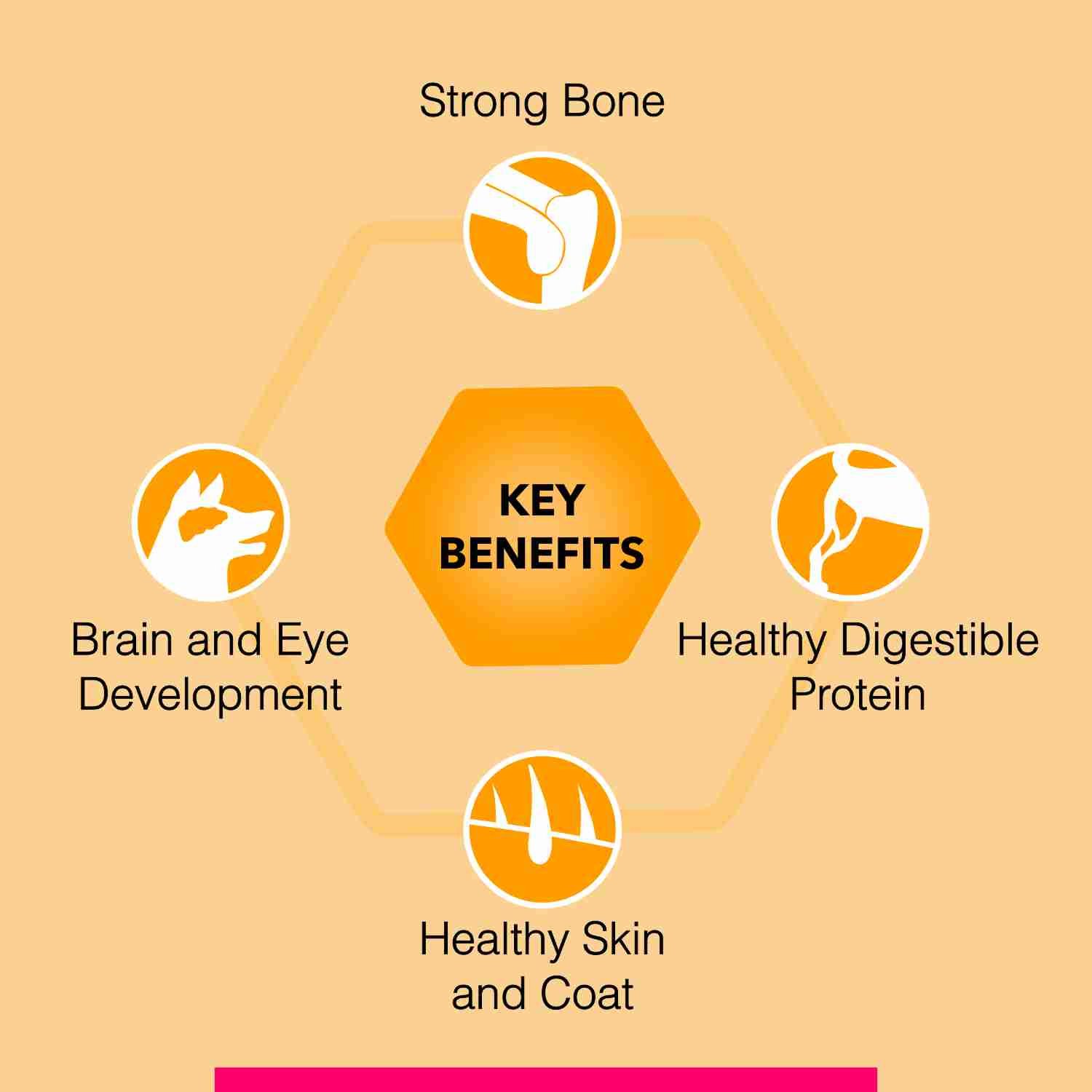 Canine Creek Club, Ultra Premium Dry Dog Food for All Lifestages