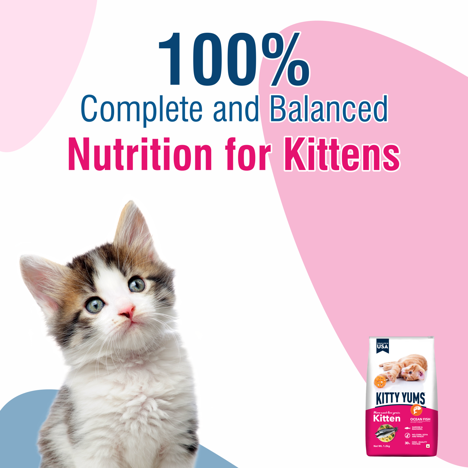 Kitty Yums Kitten(1-12 Months) Dry Cat Food, Ocean Fish
