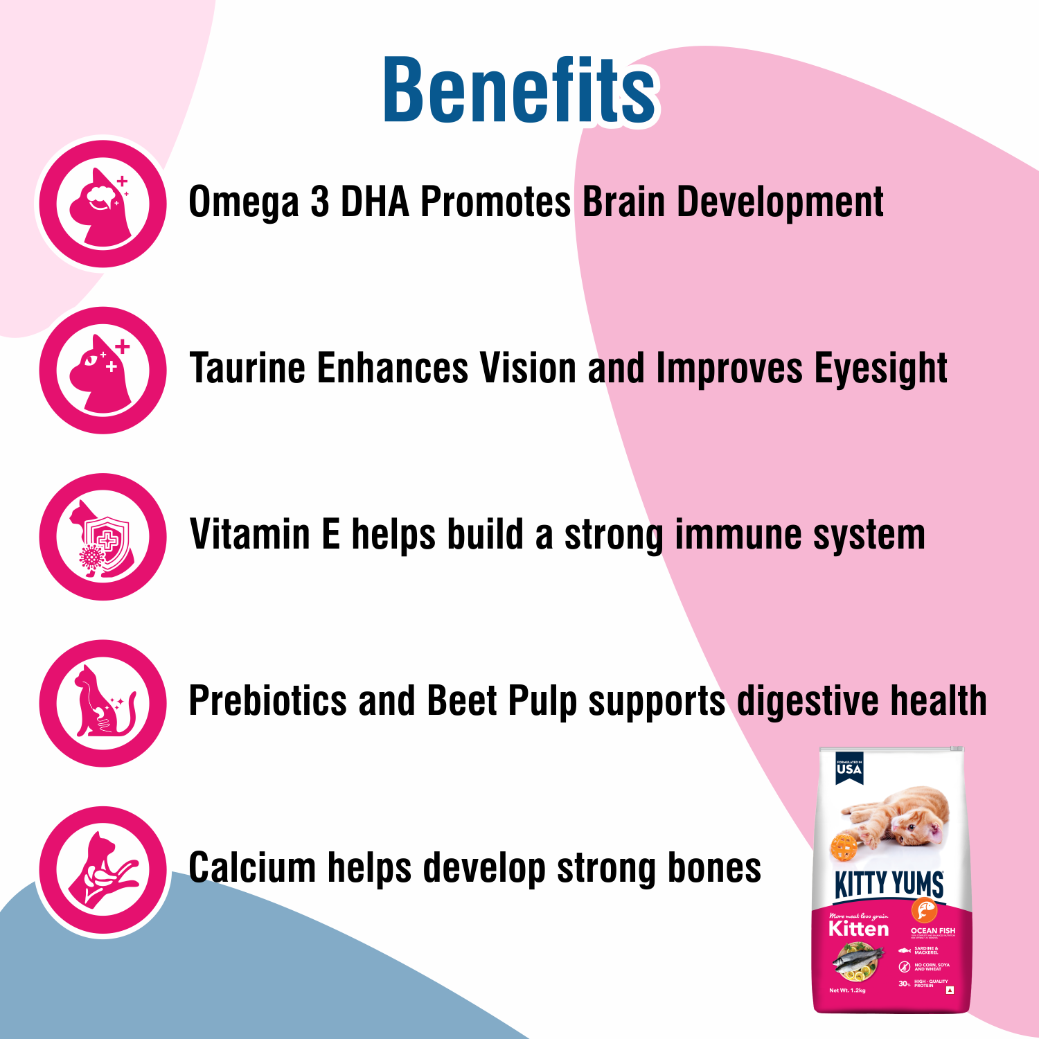 Kitty Yums Kitten(1-12 Months) Dry Cat Food, Ocean Fish