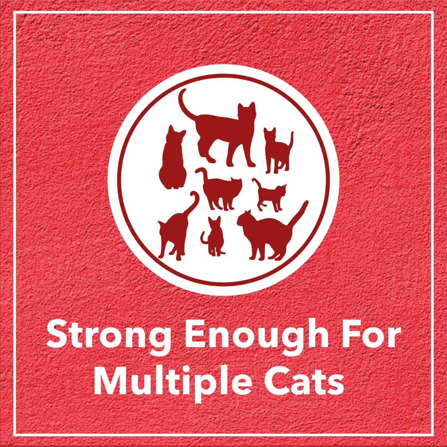 Drools Clumping Lavender Fragrance Cat Litter (For multiple cats)