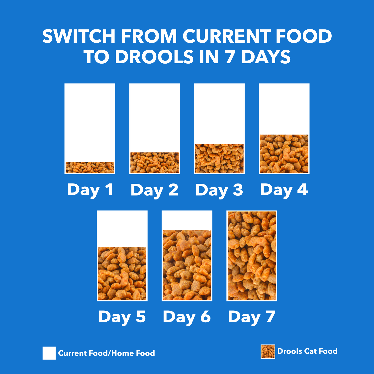 Drools Cat Adult Real Chicken Dry Cat Food