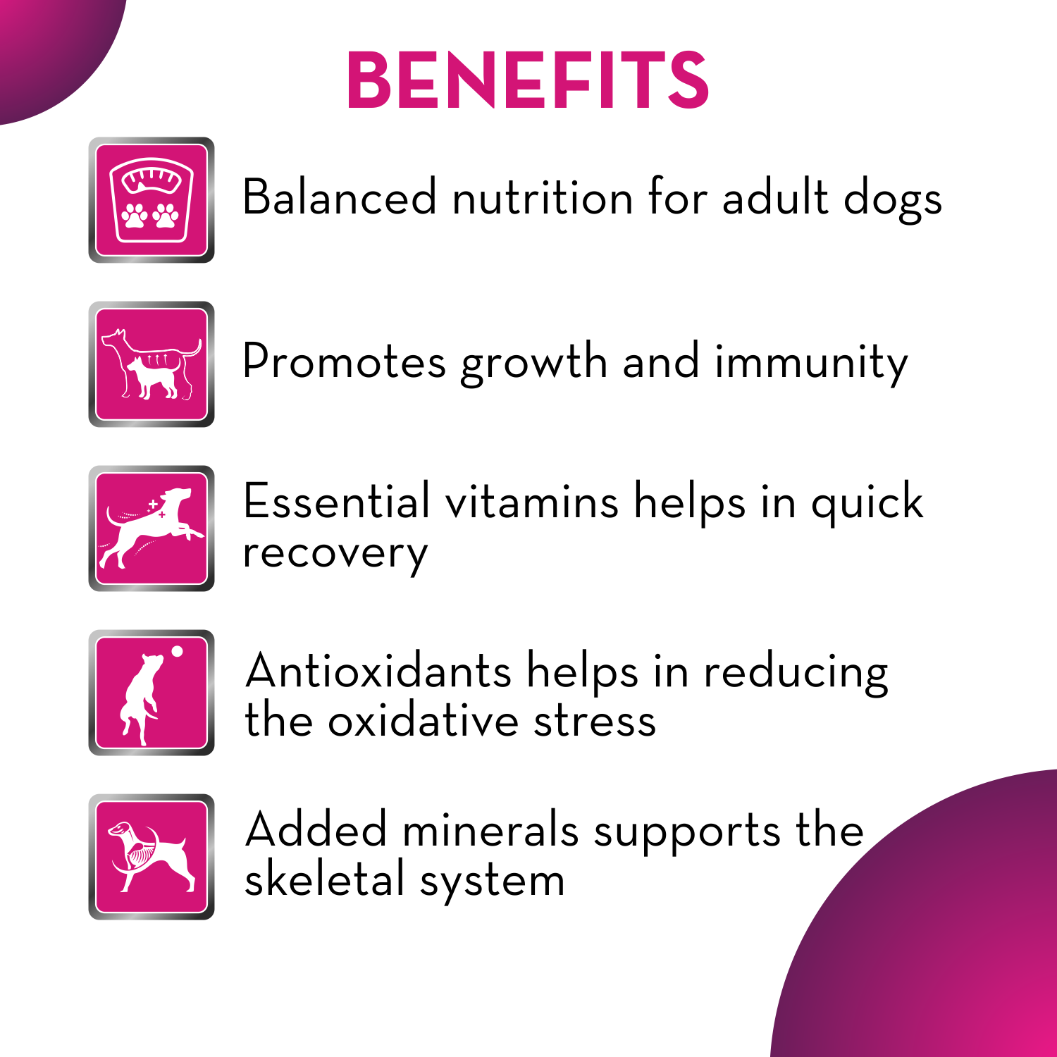 Maxi Adult Dog Food, Chicken and Liver