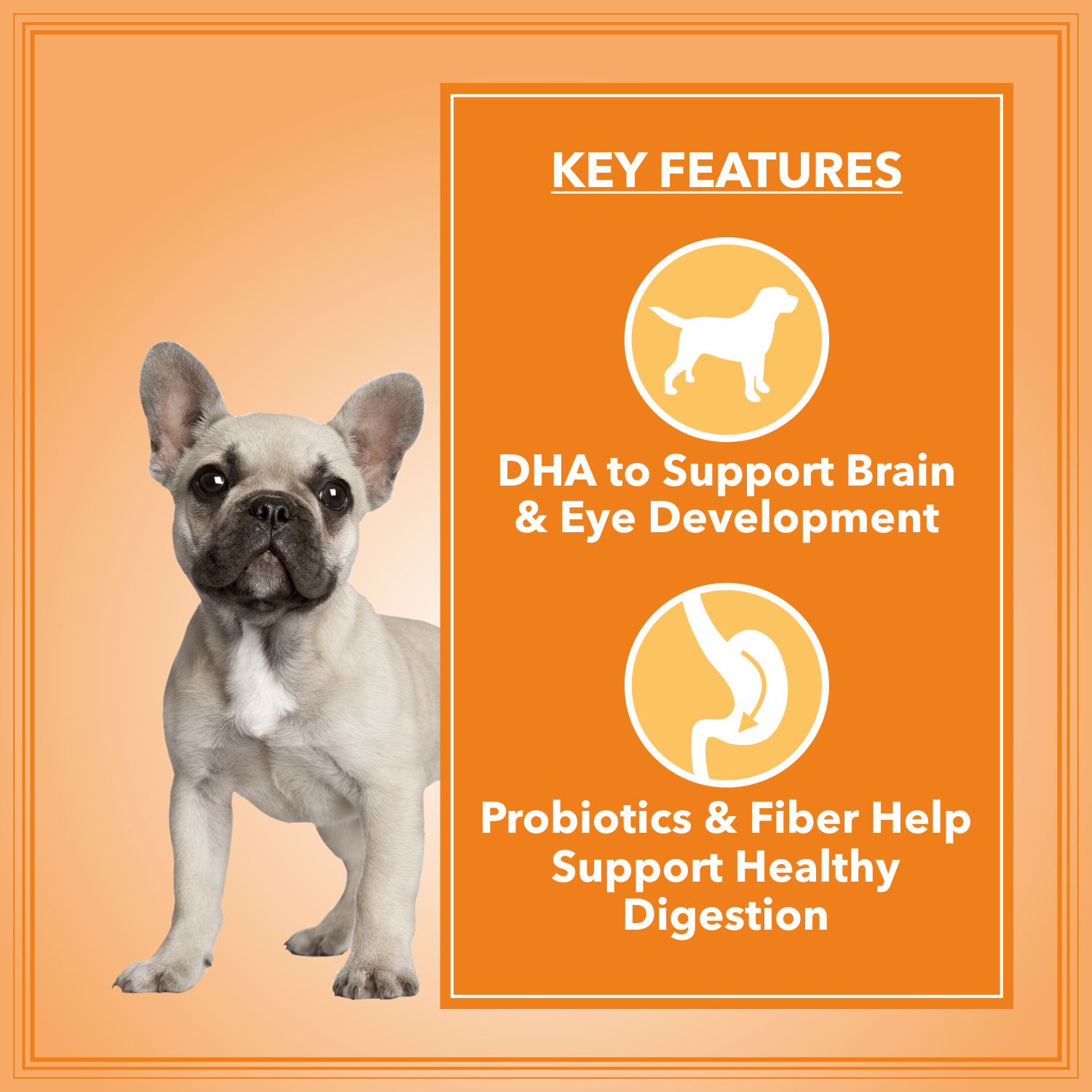 Let's Bite Active Puppy Dog Food