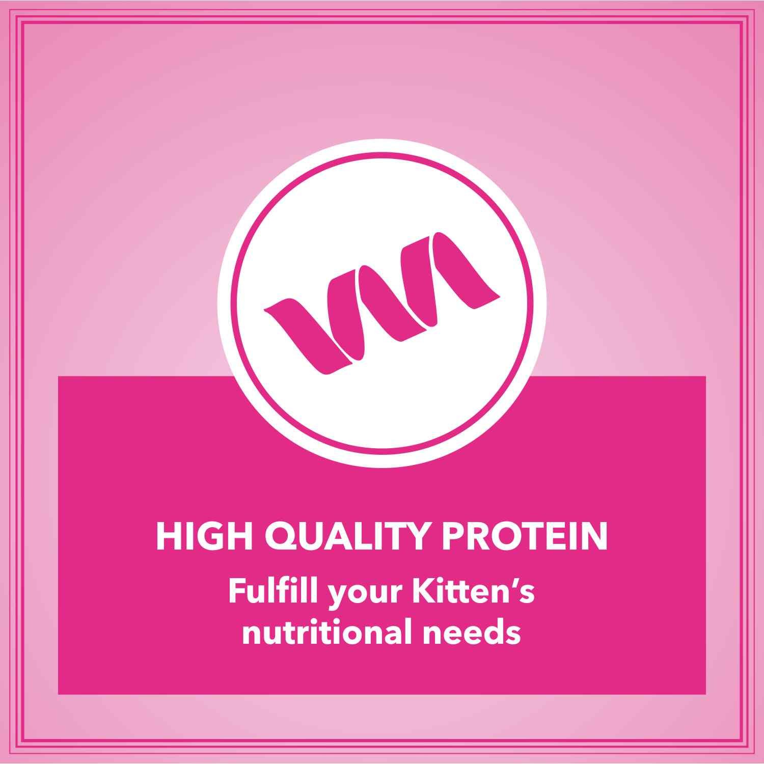 Let's Bite Active Kitten Dry Cat Food