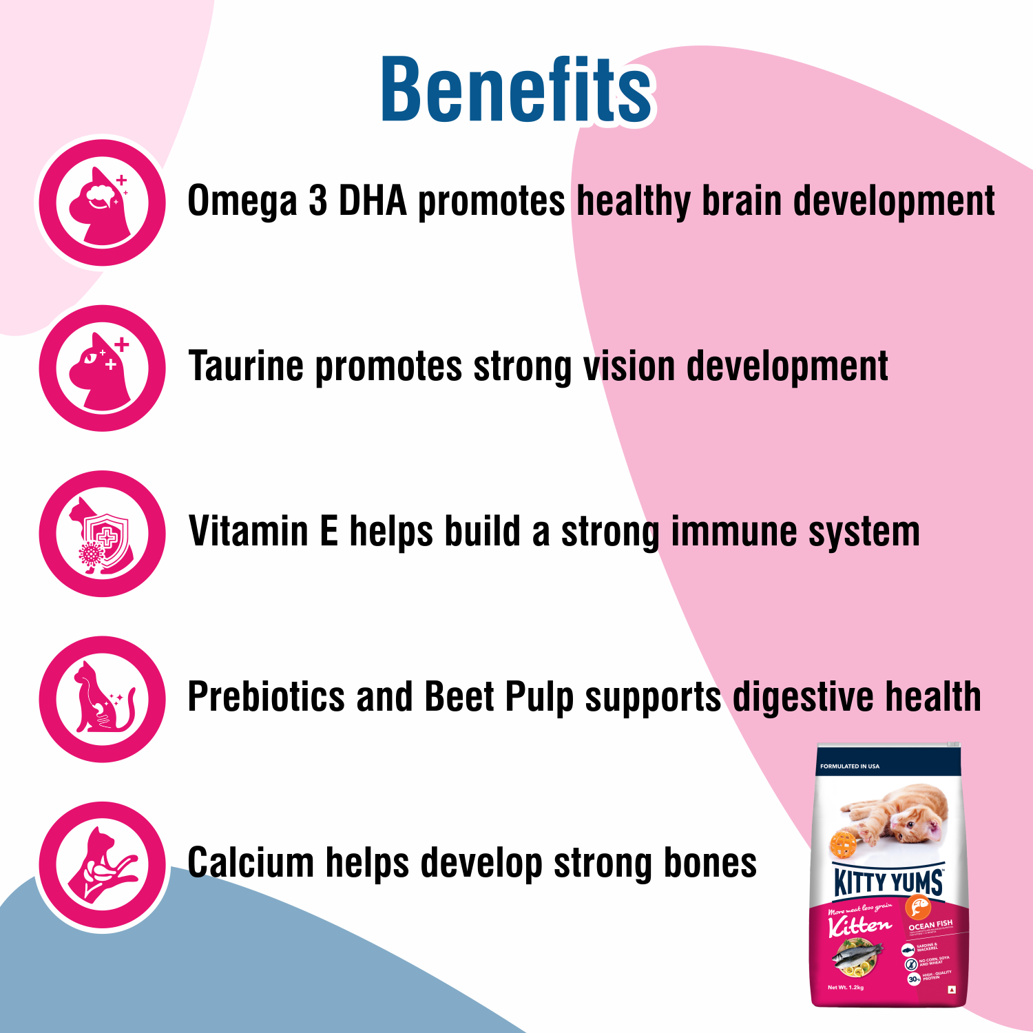 Kitty Yums Kitten (1-12 Months) Dry Cat Food, Ocean Fish