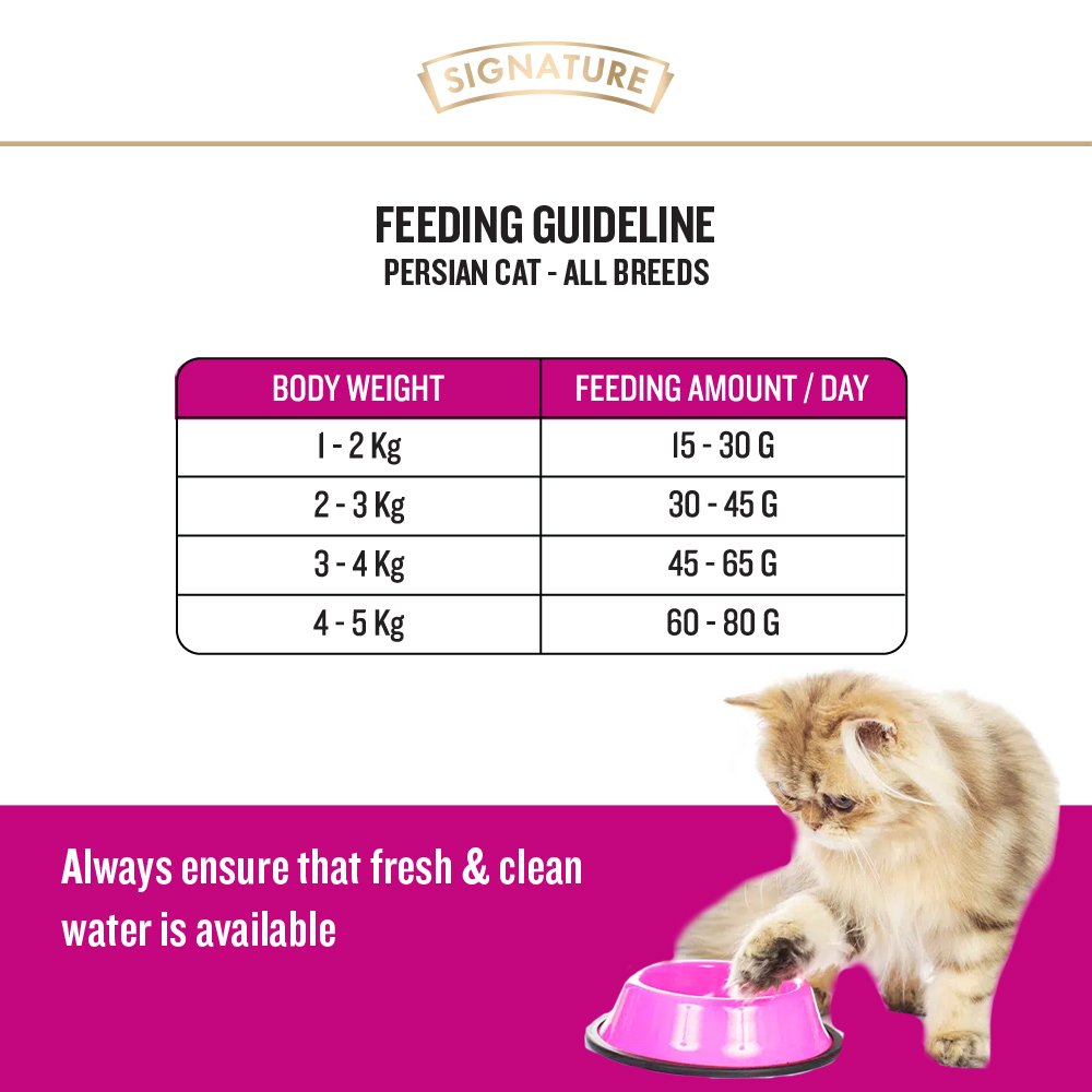 Grain Zero kitten Ocean Fish, Sardine and Mackerel Dry Cat Food