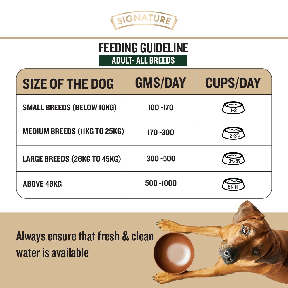 Grain Zero Real Chicken, Egg And Vegetables Adult Dry Dog Food