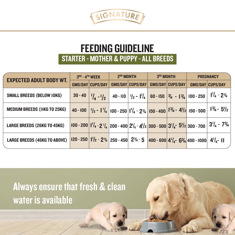 Grain Zero Real Chicken, Egg And Vegetables Starter Dry Dog Food