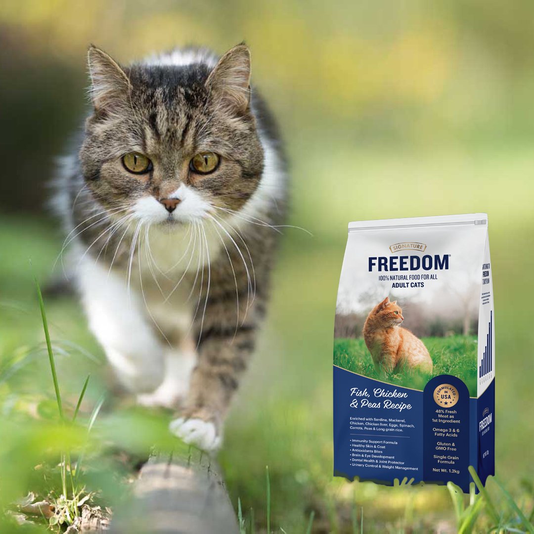 Freedom Adult Fish,Chicken &peas Recipe Dry Cat Food