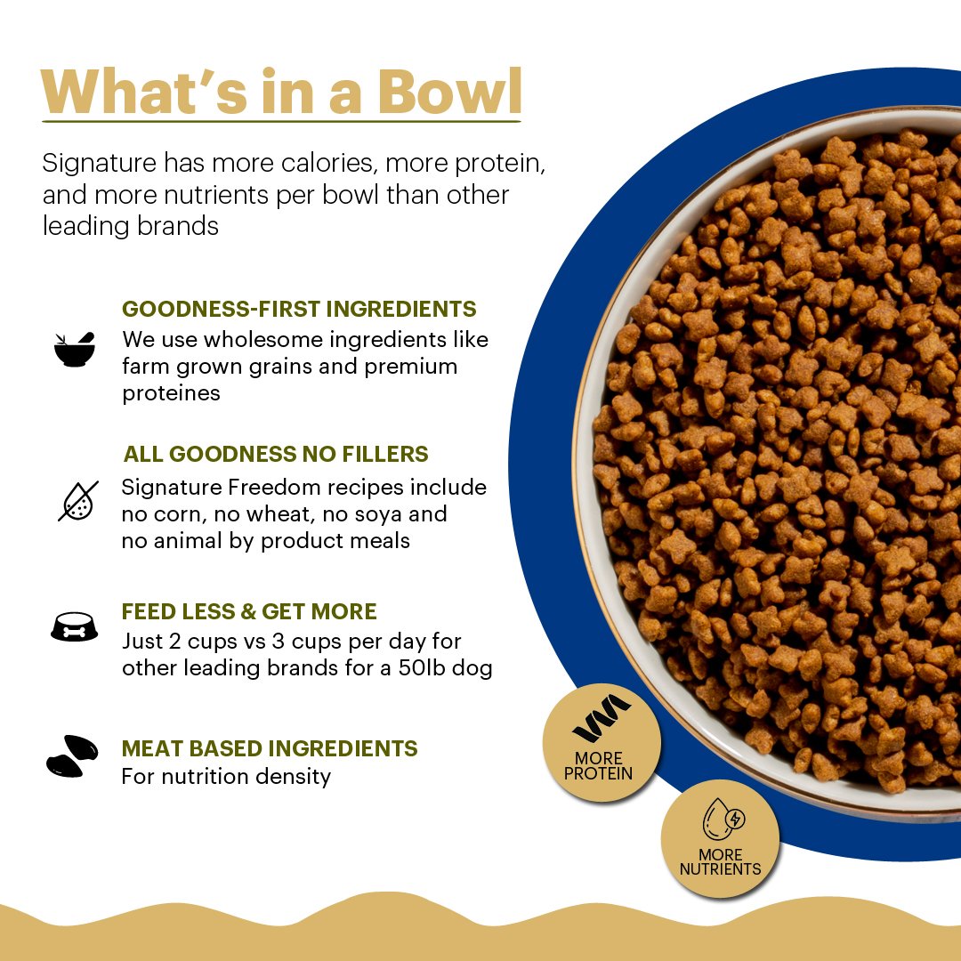 Freedom Kitten Fish,Chicken &peas Recipe Dry Cat Food