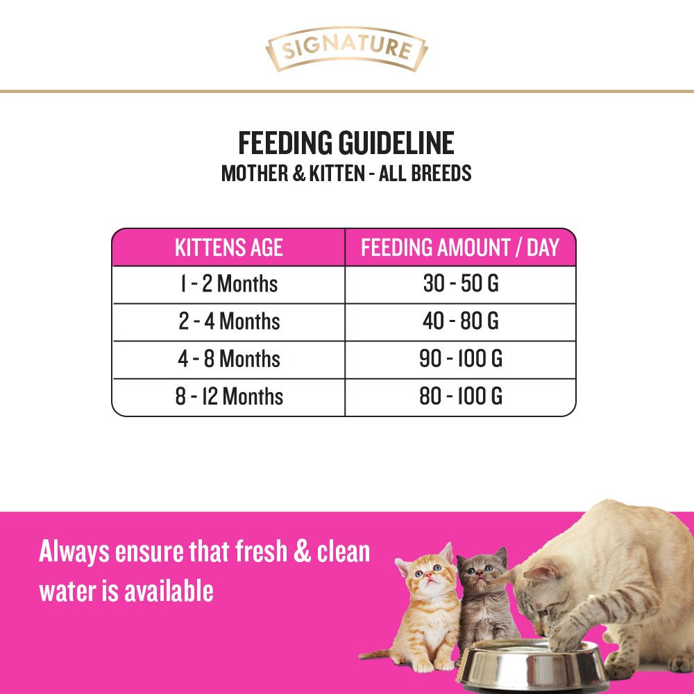 Grain Zero Ocean Fish, Sardine and Mackerel Kitten Dry Cat Food