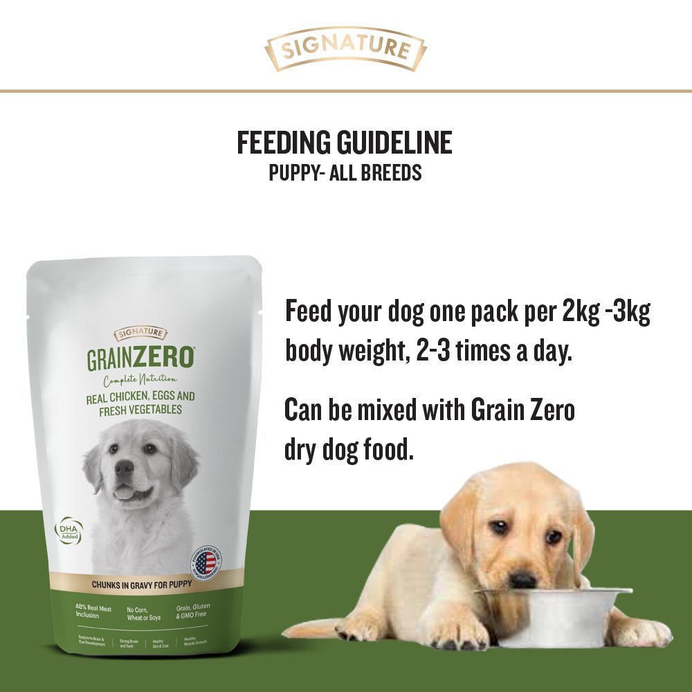 Grain Zero Real Chicken Gravy for Puppy Wet Dog Food