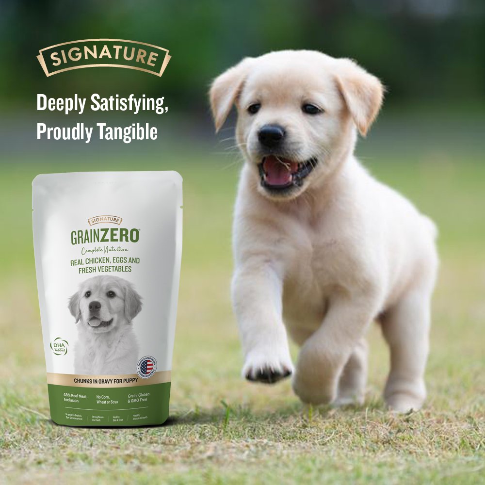 Grain Zero Real Chicken Gravy for Puppy Wet Dog Food