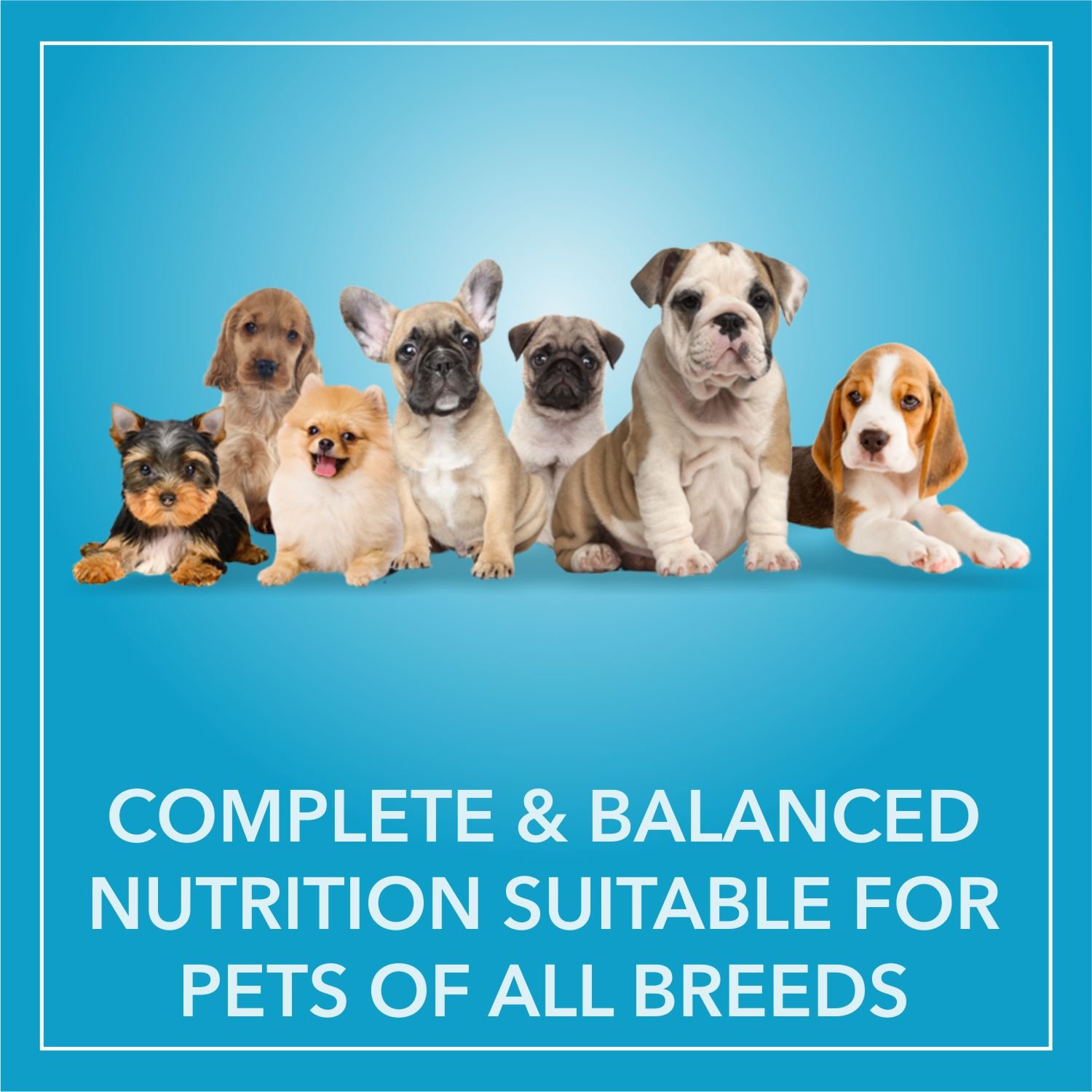 Purepet Chicken & Veg Puppy Dog Food