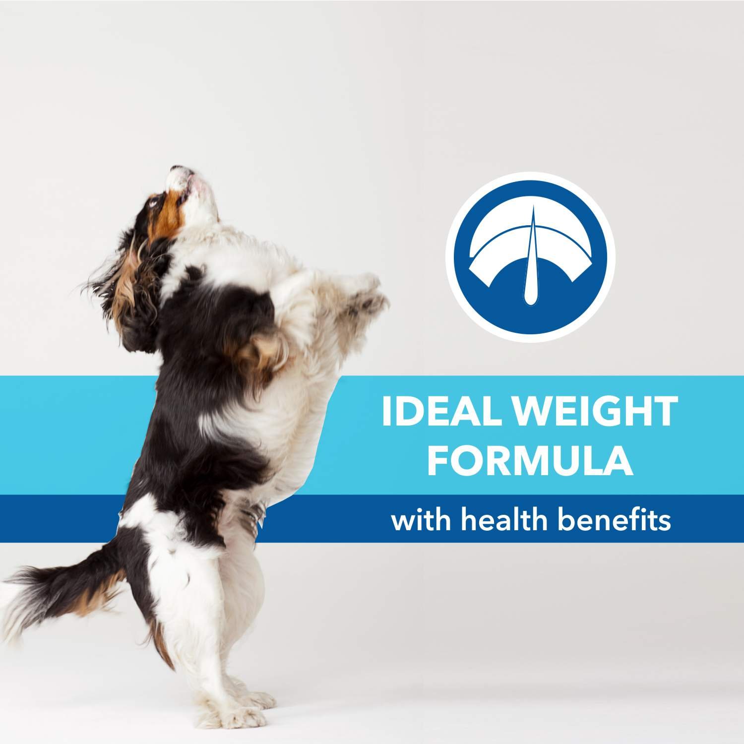 Purepet Chicken & Veg Puppy Dog Food