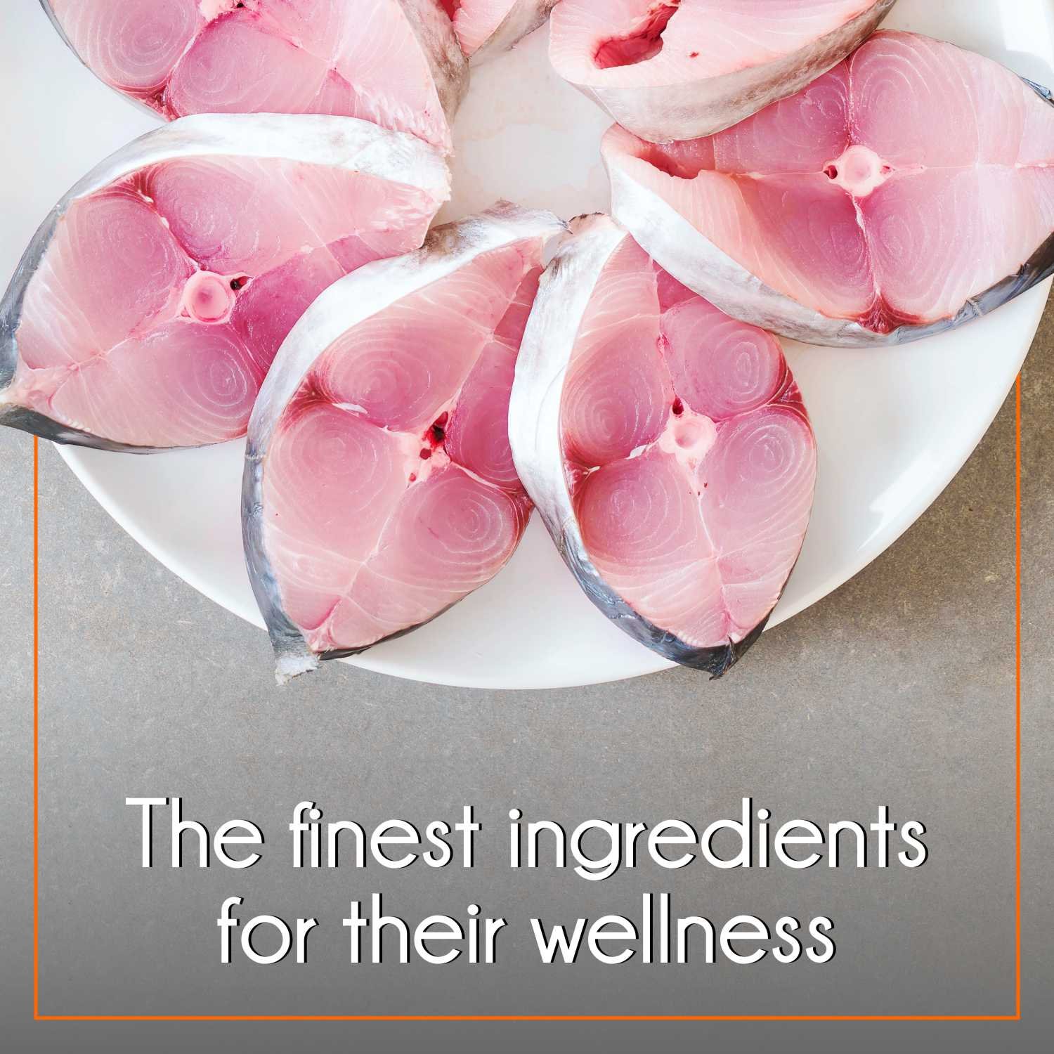 Purepet Mackerel Adult Cat Food