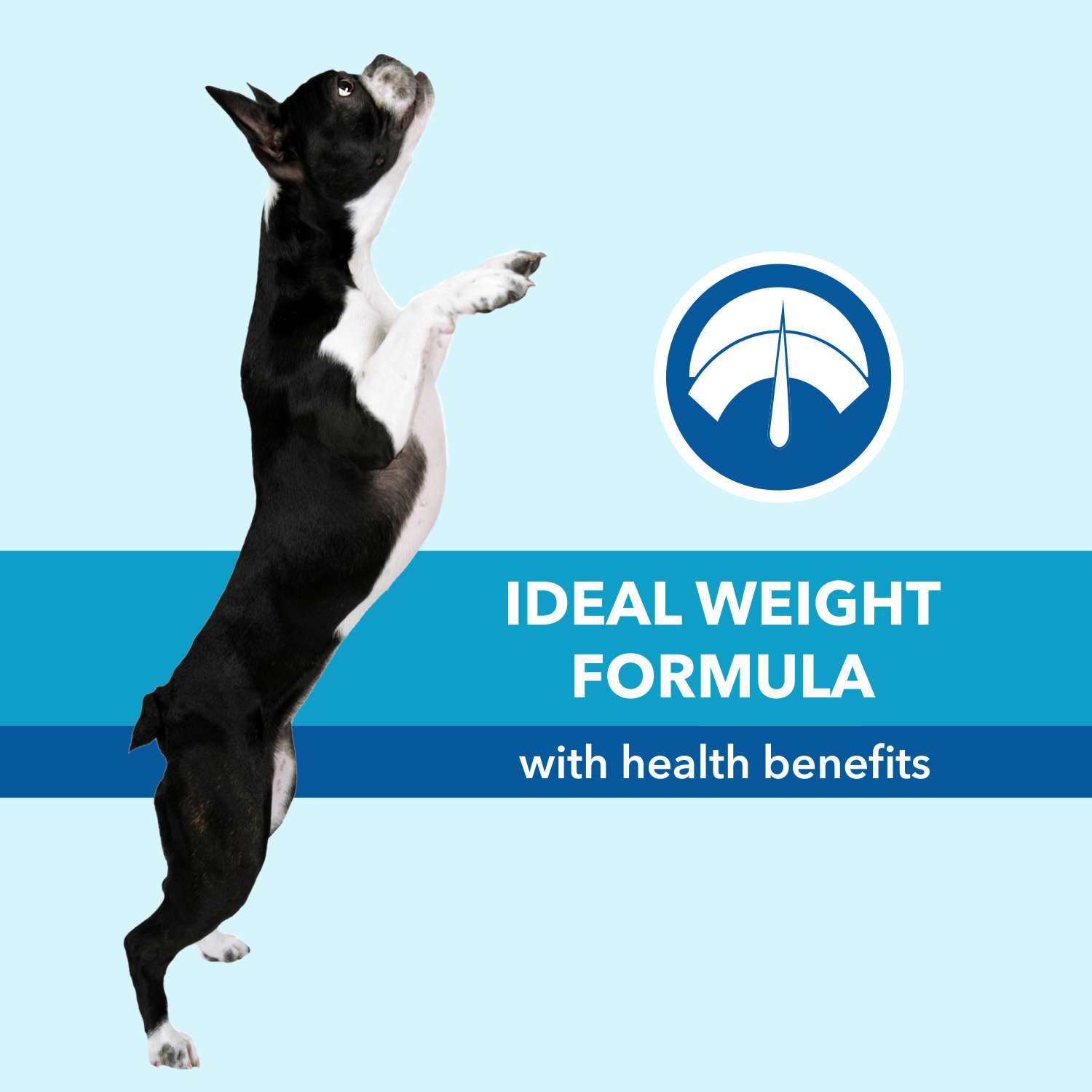 Purepet Chicken & Vegetable Adult Dog Food