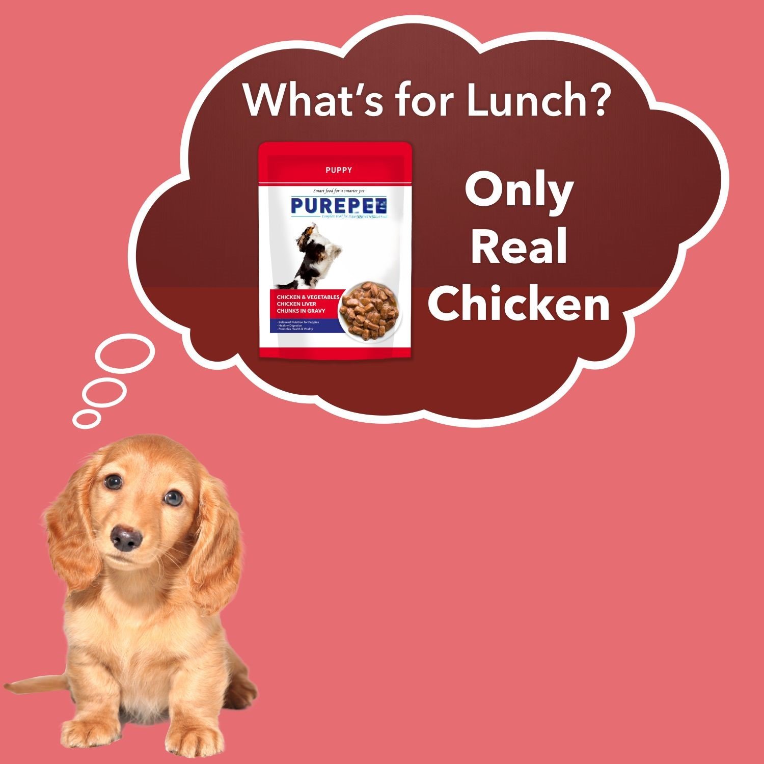 Purepet Wet Dog Food Puppy Chicken and Vegetable Chunks in Gravy