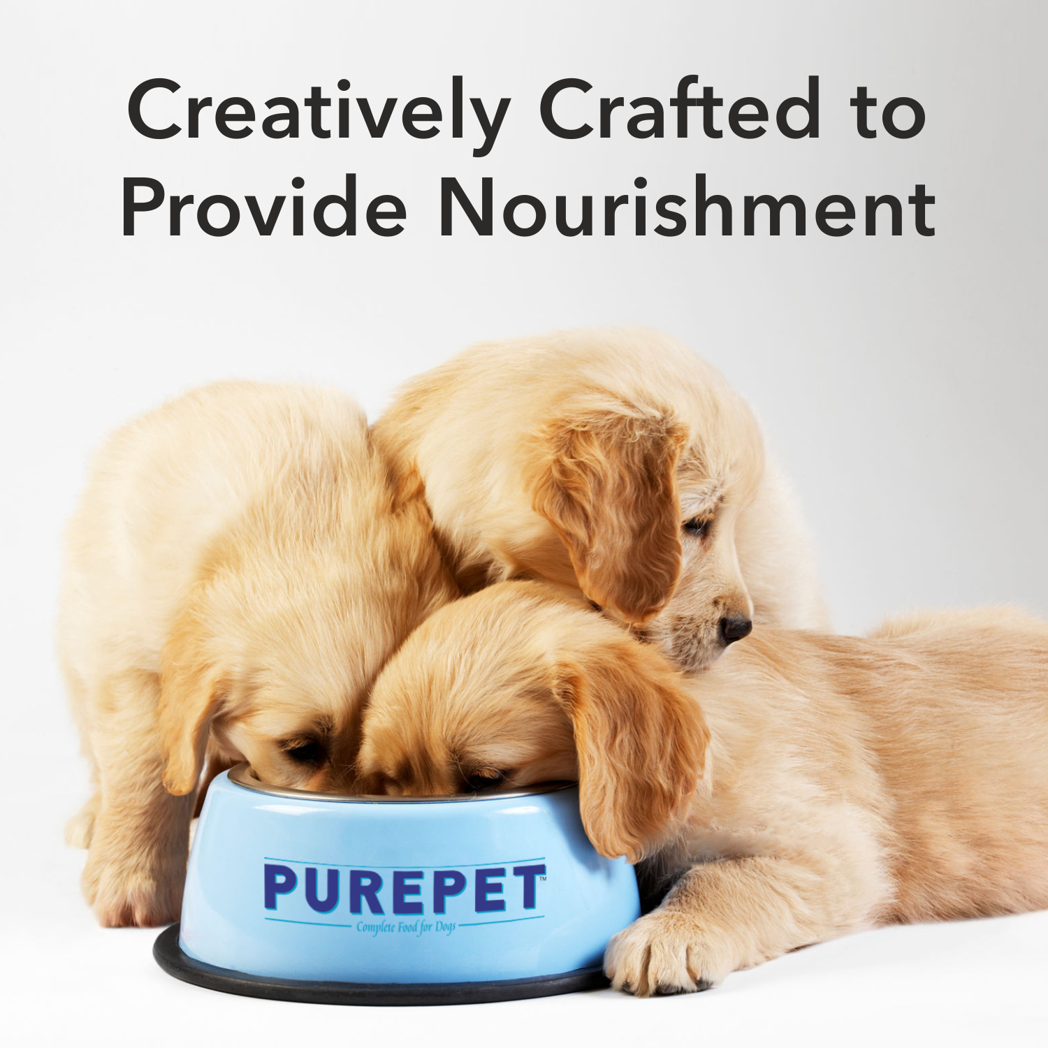Purepet Wet Dog Food, Chicken and Vegetable Chunks in Gravy